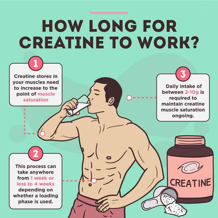 How Long For Creatine To Work?