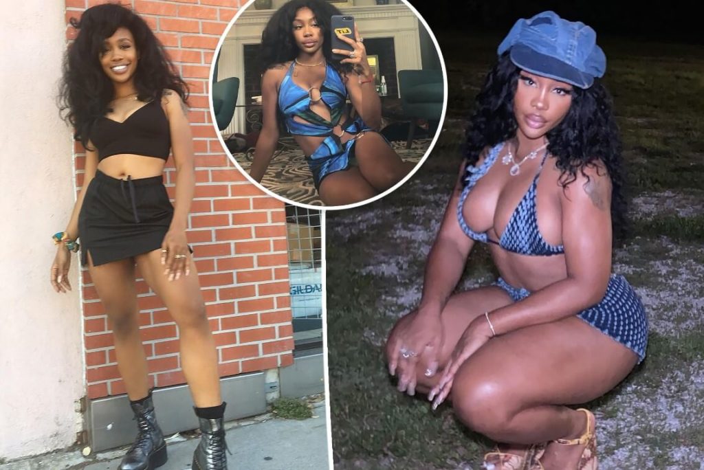 SZA Plastic Surgery Singer Transformation