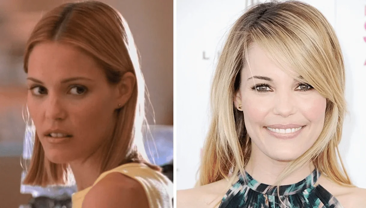 Leslie Bibb Nose Job